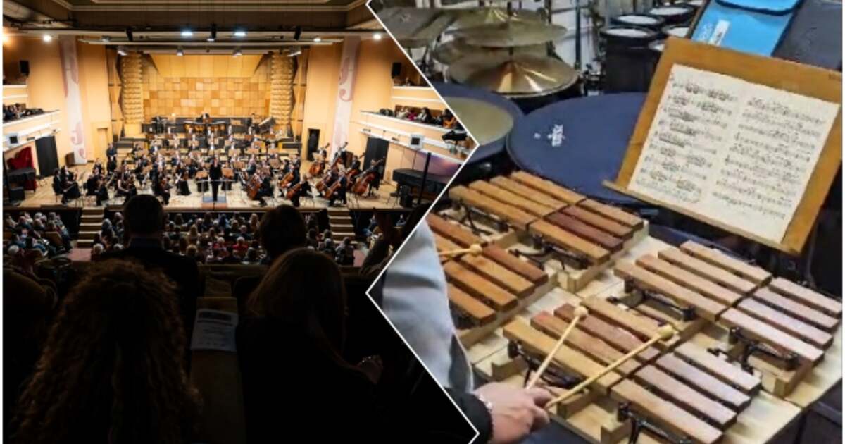 Primă audiție la Filarmonica Banatul Timișoara: un instrument nou! Primă audiție la Filarmonica Banatul Timișoara: un instrument nou!