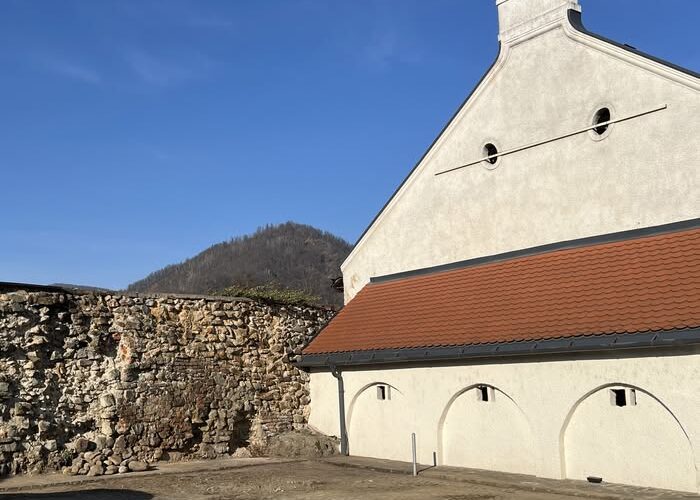 UDMR Baia Mare: Proiecte cool pentru păstrarea pieței vechi UDMR Baia Mare: Proiecte cool pentru păstrarea pieței vechi